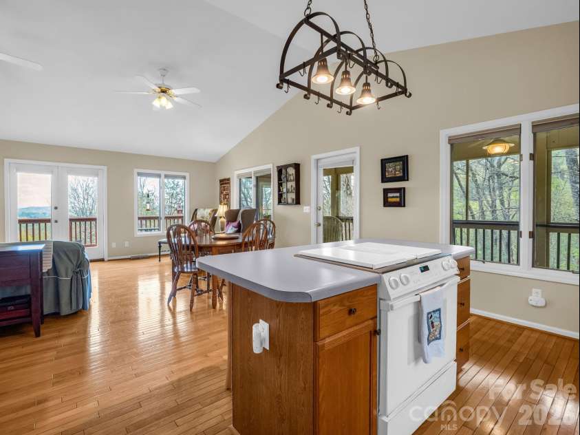 197 Thomas A Edison Road, Lake Lure, NC 28746.  MLS# CAR4361730, YatesRealty ID 14475. 