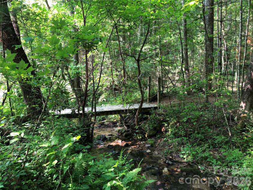 114 Woodpecker Road, Purlear, NC 28665.  MLS# CAR4346014, YatesRealty ID 14480. One of the scenic hiking trails within the Buck Mountain Community