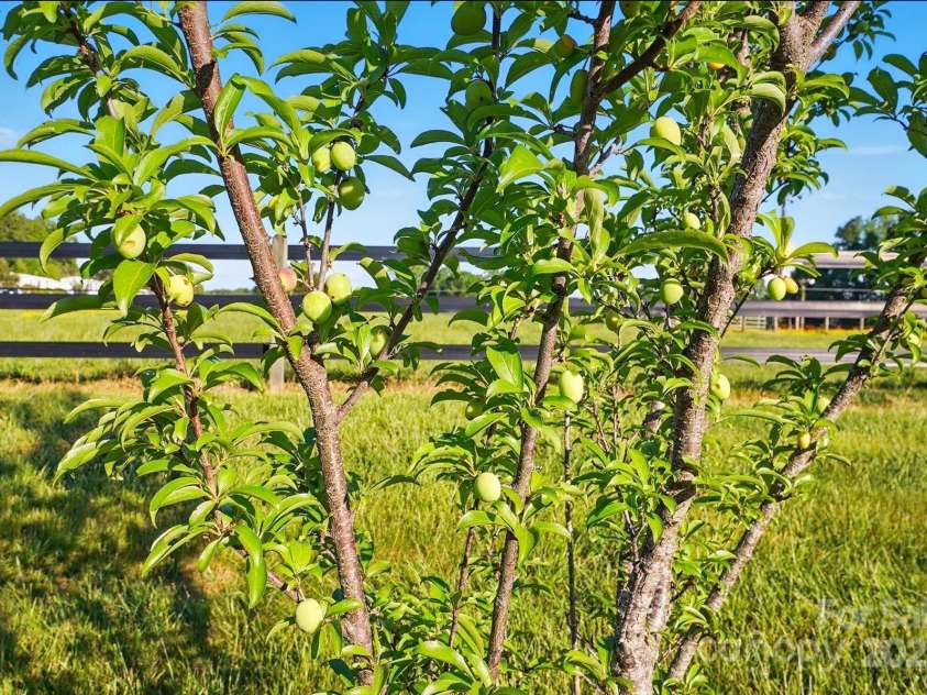 725 Bradshaw Road, Mt Ulla, NC 28125.  MLS# CAR4249662, YatesRealty ID 14505. 