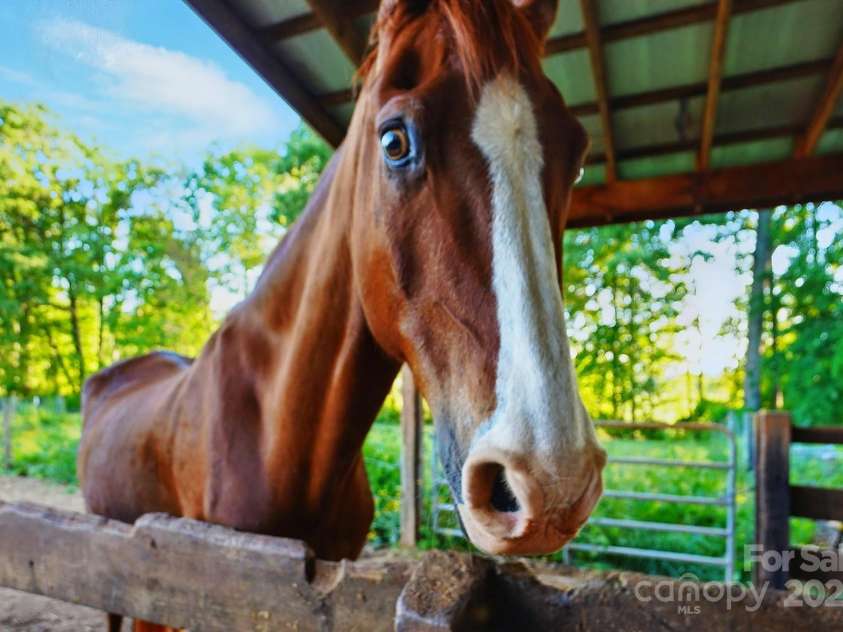 725 Bradshaw Road, Mt Ulla, NC 28125.  MLS# CAR4249662, YatesRealty ID 14505. 