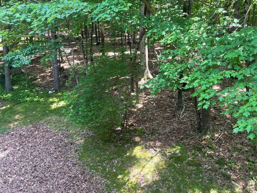 2505 White Thorne Lane, Waxhaw, NC 28173.  MLS# CAR4262852, YatesRealty ID 14549. 