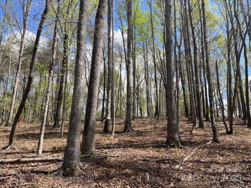 1600 Whitesides Road, Mill Spring, NC 28756.  MLS# CAR4246477, YatesRealty ID 14575. 