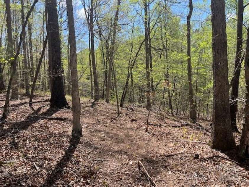 1600 Whitesides Road, Mill Spring, NC 28756.  MLS# CAR4246477, YatesRealty ID 14575. 