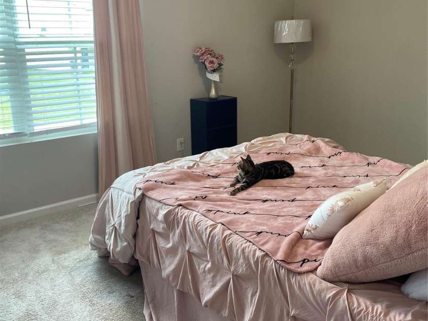110 Silver Oak Circle, Rockwell, NC 28138.  MLS# CAR4123200, YatesRealty ID 1459. Bedroom 2