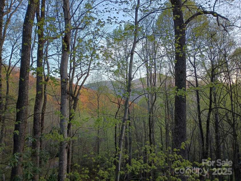 662 Locust Drive, Maggie Valley, NC 28751.  MLS# CAR4232980, YatesRealty ID 14614. 