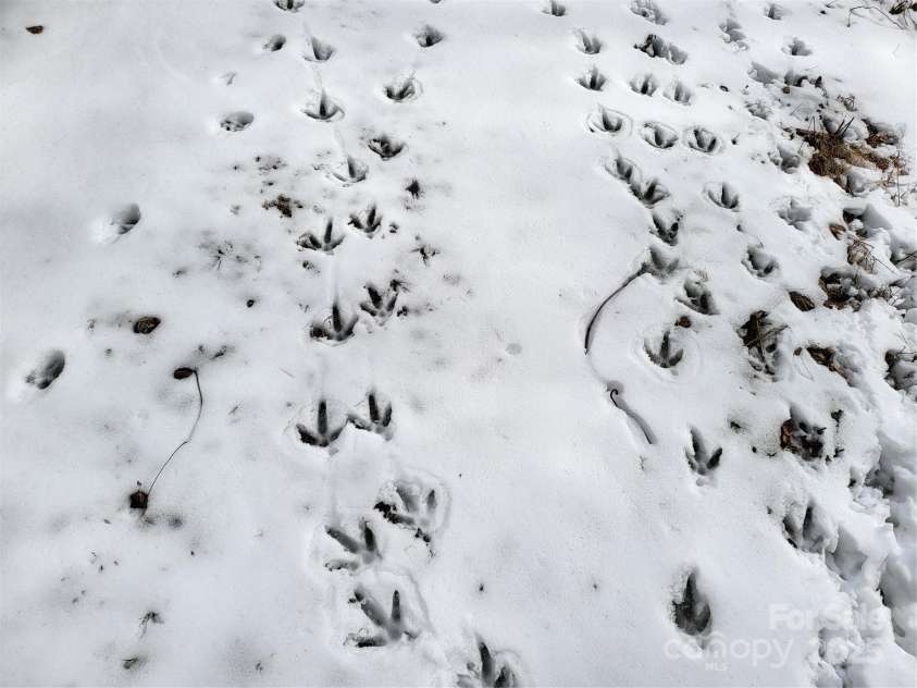 OFF Alarka Road, Bryson City, NC 28713.  MLS# CAR4216105, YatesRealty ID 1462. 