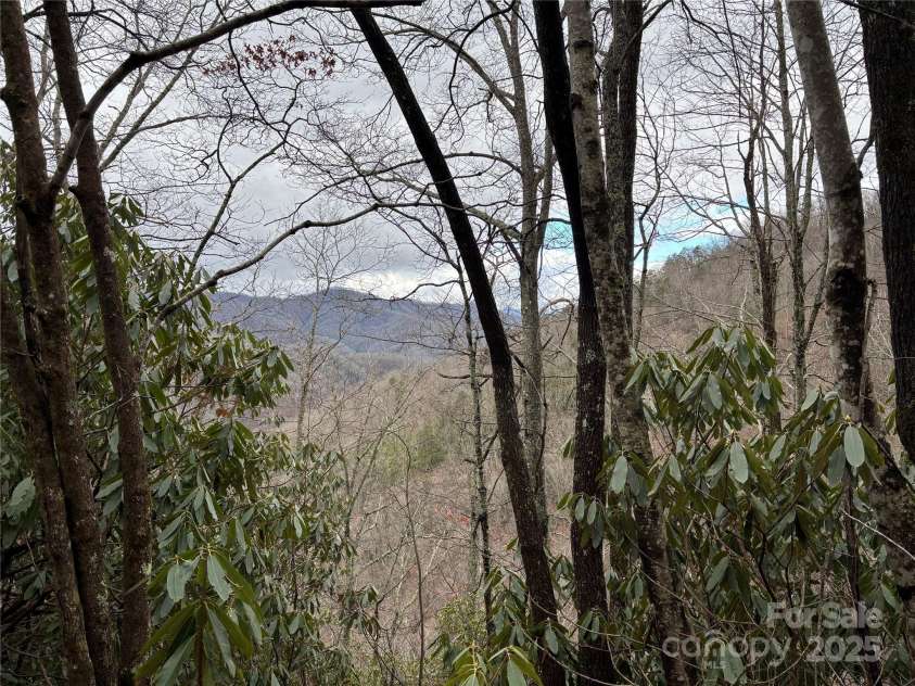 OFF Alarka Road, Bryson City, NC 28713.  MLS# CAR4216105, YatesRealty ID 1462. 
