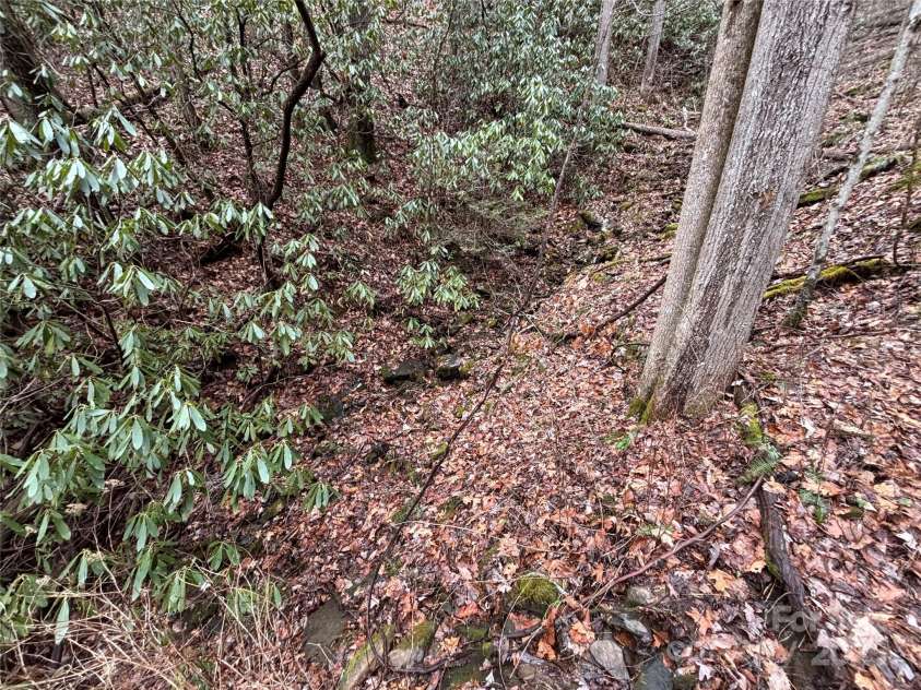 OFF Alarka Road, Bryson City, NC 28713.  MLS# CAR4216105, YatesRealty ID 1462. 