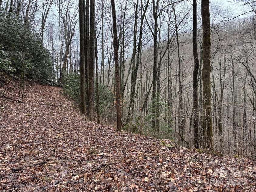 OFF Alarka Road, Bryson City, NC 28713.  MLS# CAR4216105, YatesRealty ID 1462. 