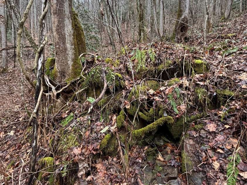 OFF Alarka Road, Bryson City, NC 28713.  MLS# CAR4216105, YatesRealty ID 1462. 