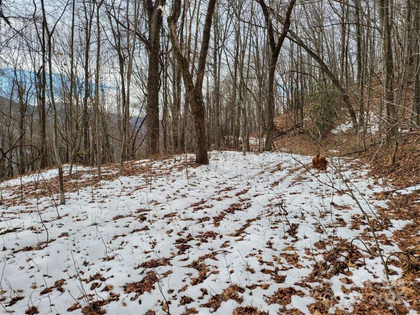 OFF Alarka Road, Bryson City, NC 28713.  MLS# CAR4216105, YatesRealty ID 1462. 