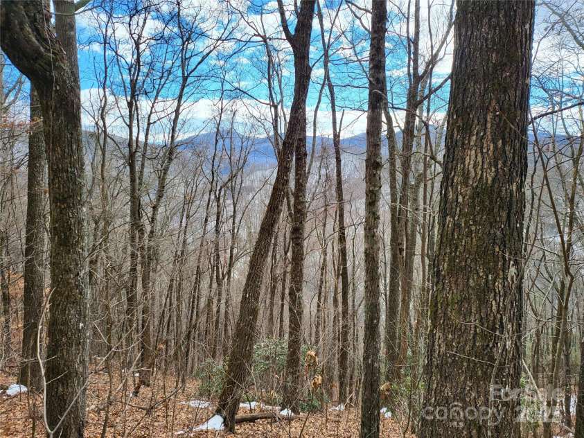OFF Alarka Road, Bryson City, NC 28713.  MLS# CAR4216105, YatesRealty ID 1462. 
