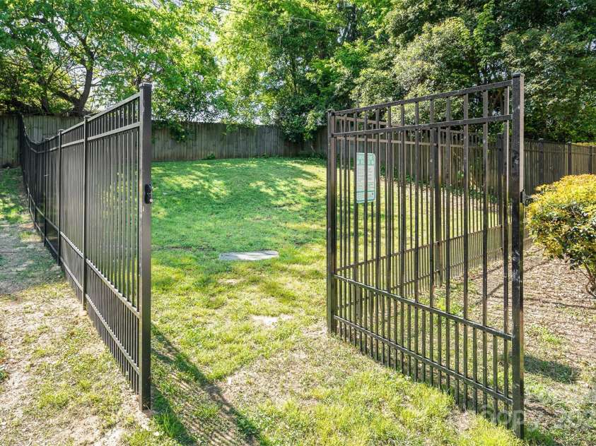 1512 Seigle Avenue, Charlotte, NC 28205.  MLS# CAR4292674, YatesRealty ID 14620. Dog Park