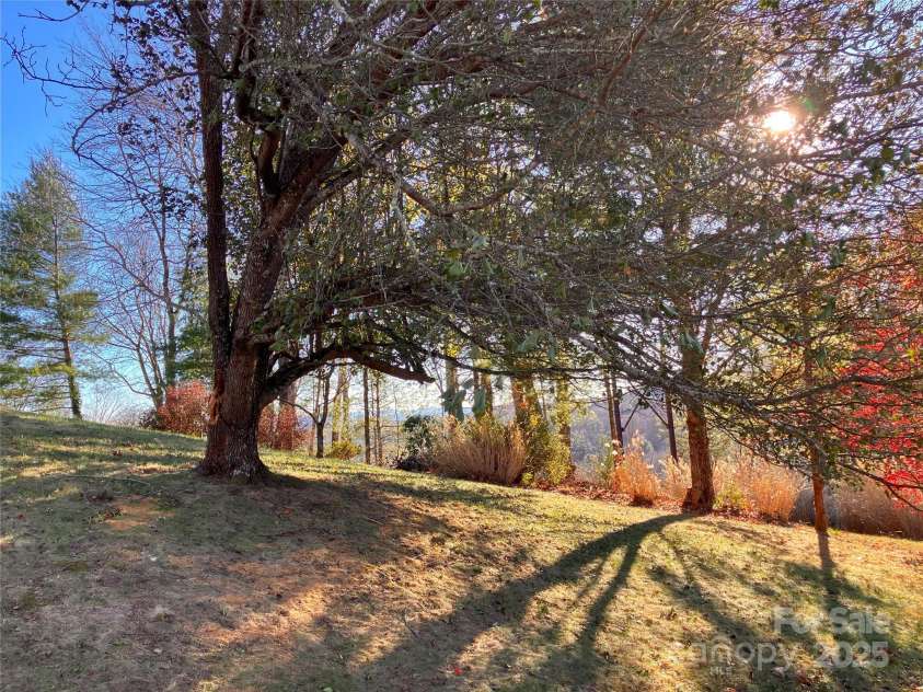 23 Moriah Lane, Asheville, NC 28803.  MLS# CAR4221443, YatesRealty ID 1468. 