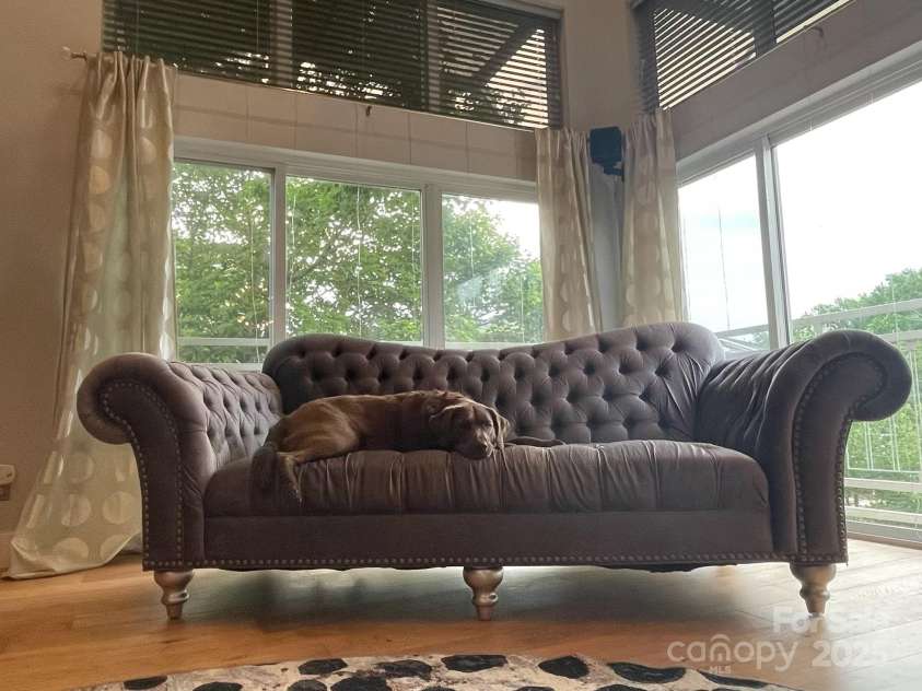 650 Raphael Place, Charlotte, NC 28205.  MLS# CAR4248746, YatesRealty ID 14727. 