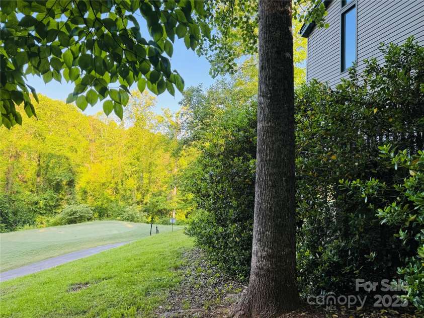 156 Sheepnose Drive, Lake Lure, NC 28746.  MLS# CAR4228942, YatesRealty ID 14750. 