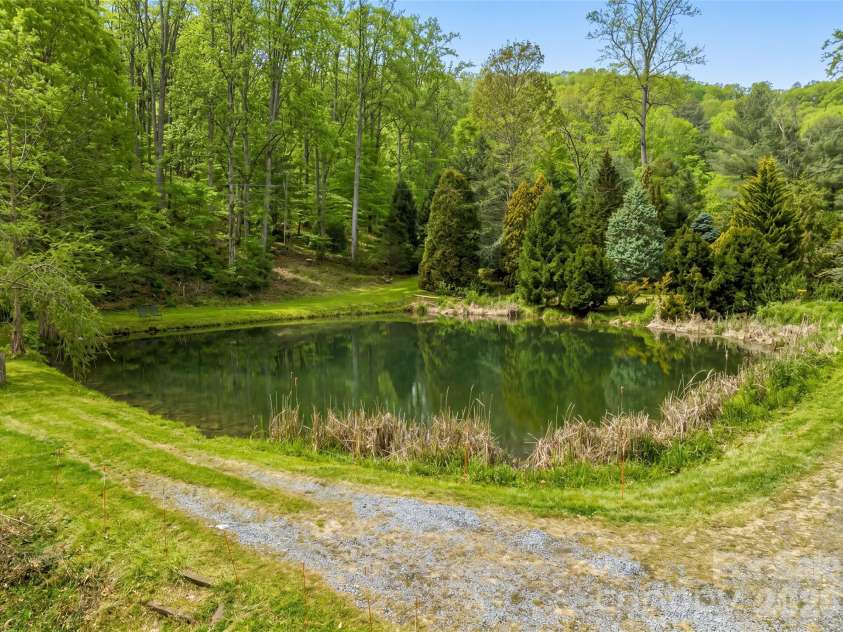 198 Brooks Branch Road, Leicester, NC 28748.  MLS# CAR4342516, YatesRealty ID 14773. Spring Fed Pond With Fish!