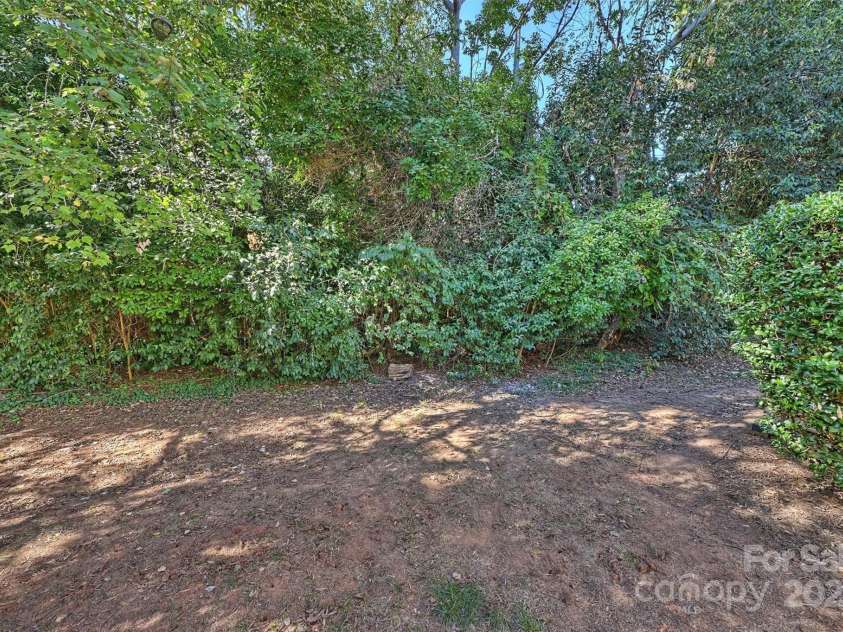 951 Hollywood Street, Charlotte, NC 28211.  MLS# CAR4312884, YatesRealty ID 1481. 