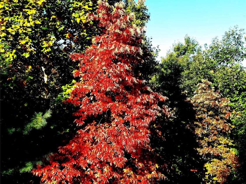 132 Vacation Way, Millers Creek, NC 28651.  MLS# CAR4254466, YatesRealty ID 14827. 