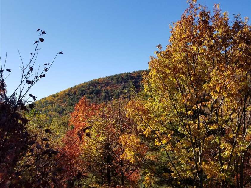 132 Vacation Way, Millers Creek, NC 28651.  MLS# CAR4254466, YatesRealty ID 14827. 