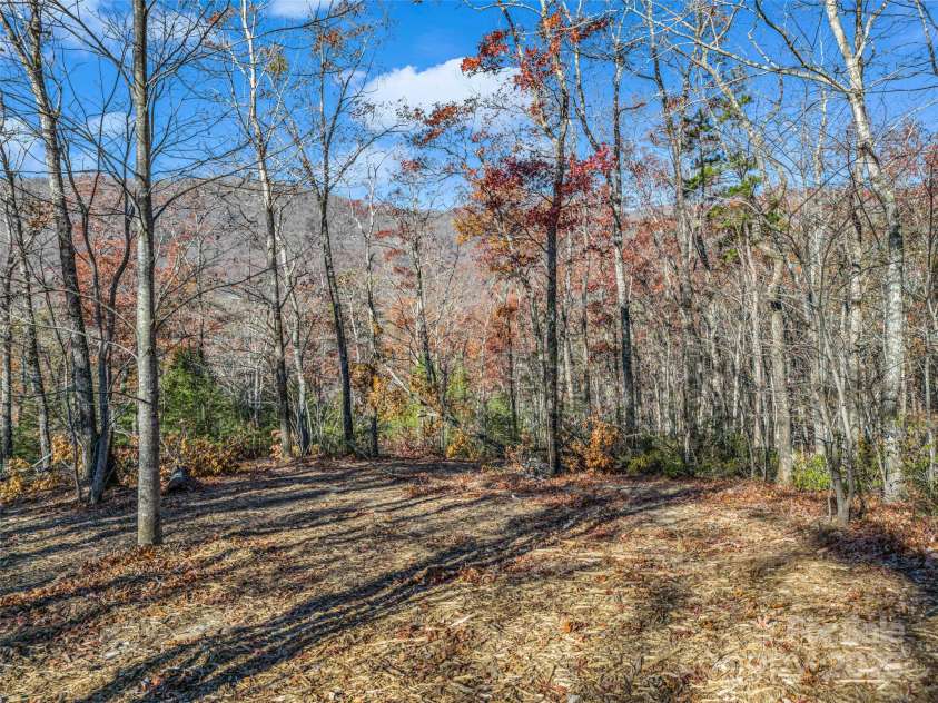 Lot 30 Deep Gap Farm Road, Mill Spring, NC 28756.  MLS# CAR4205523, YatesRealty ID 1492. 