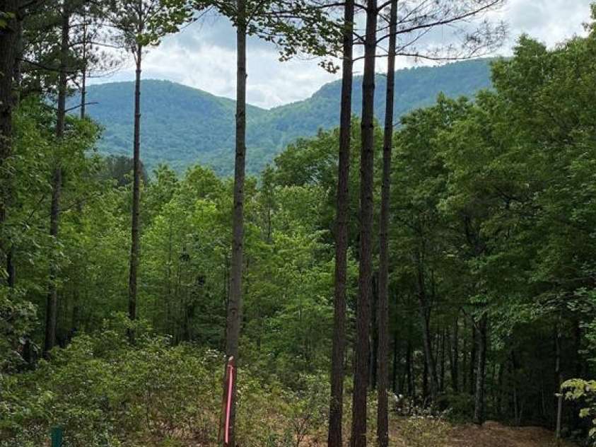 25 Monteith Place, Mill Spring, NC 28756.  MLS# CAR4176035, YatesRealty ID 1494. 