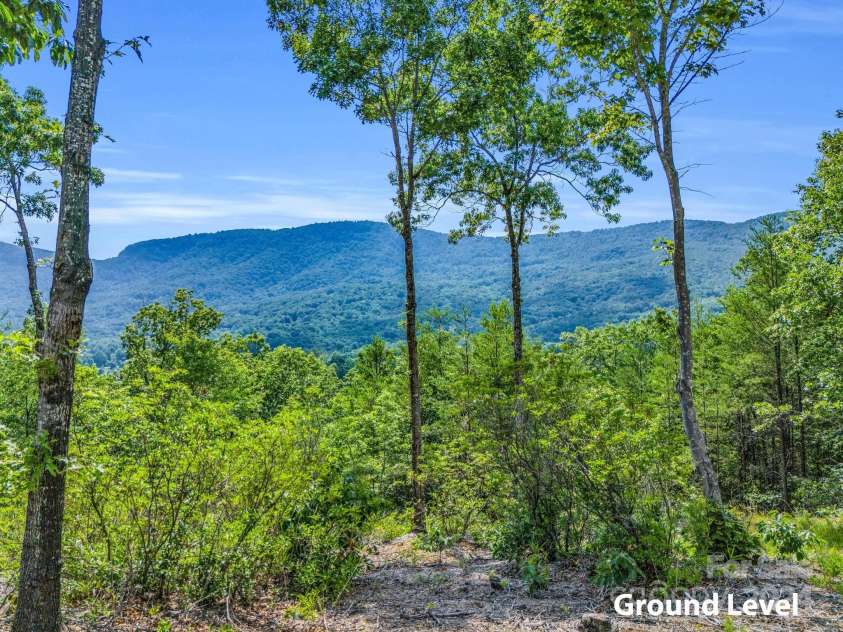 41 Deep Gap Farm Road, Mill Spring, NC 28756.  MLS# CAR4151386, YatesRealty ID 1496. 