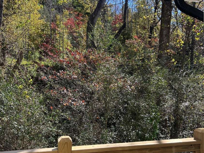 114 Orchard Street, Old Fort, NC 28762.  MLS# CAR4314228, YatesRealty ID 14980. Walk or golf cart to local shops & breweries. 