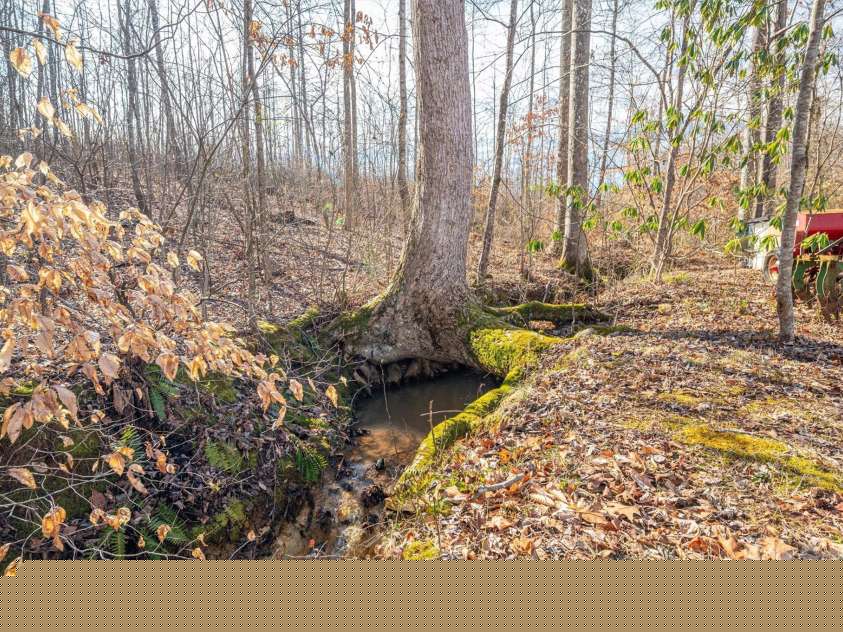 2073 Mauney Road, Bessemer City, NC 28016.  MLS# CAR4215205, YatesRealty ID 15046. 