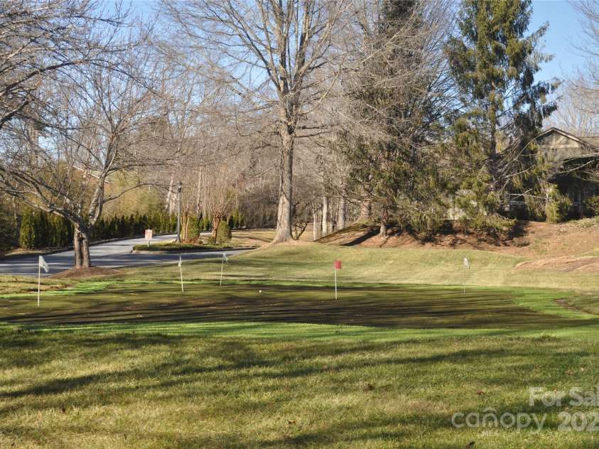 51 Barn Owl Way, Hendersonville, NC 28792.  MLS# CAR4328373, YatesRealty ID 1510. Putting  green