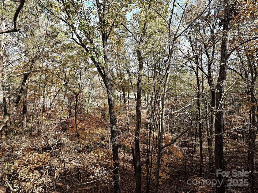 25040 Timberlake Drive, Tega Cay, SC 29708.  MLS# CAR4203265, YatesRealty ID 15119. 