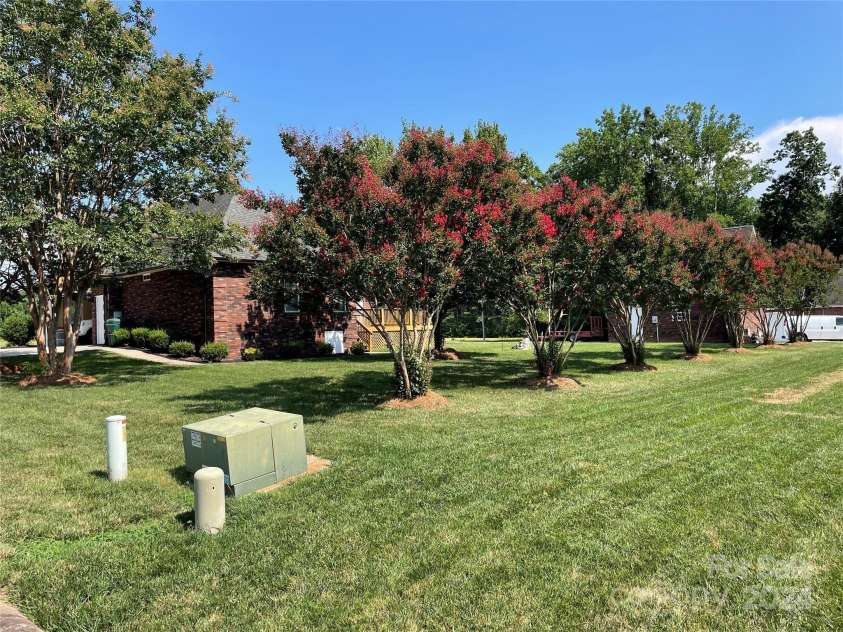 115 Anson Drive, China Grove, NC 28023.  MLS# CAR4146594, YatesRealty ID 1512. Beautiful Crepe Myrtle Trees line back of lot