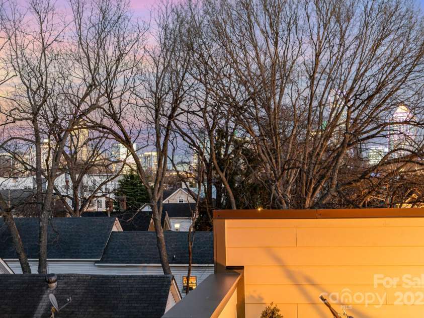 1115 Greenleaf Avenue, Charlotte, NC 28202.  MLS# CAR4248840, YatesRealty ID 15173. Rooftop Terrace Skylight at Twilight