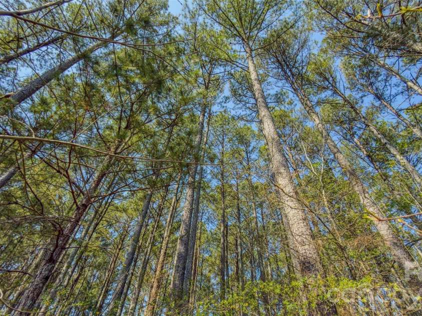 17643 Efird Road, Albemarle, NC 28001.  MLS# CAR4368901, YatesRealty ID 15223. 
