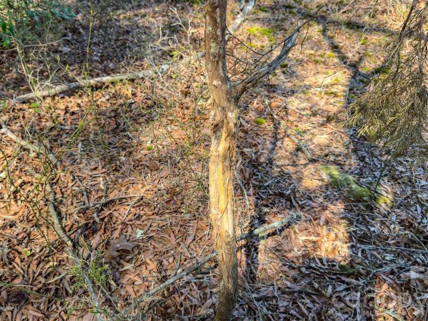 17643 Efird Road, Albemarle, NC 28001.  MLS# CAR4368901, YatesRealty ID 15223. 