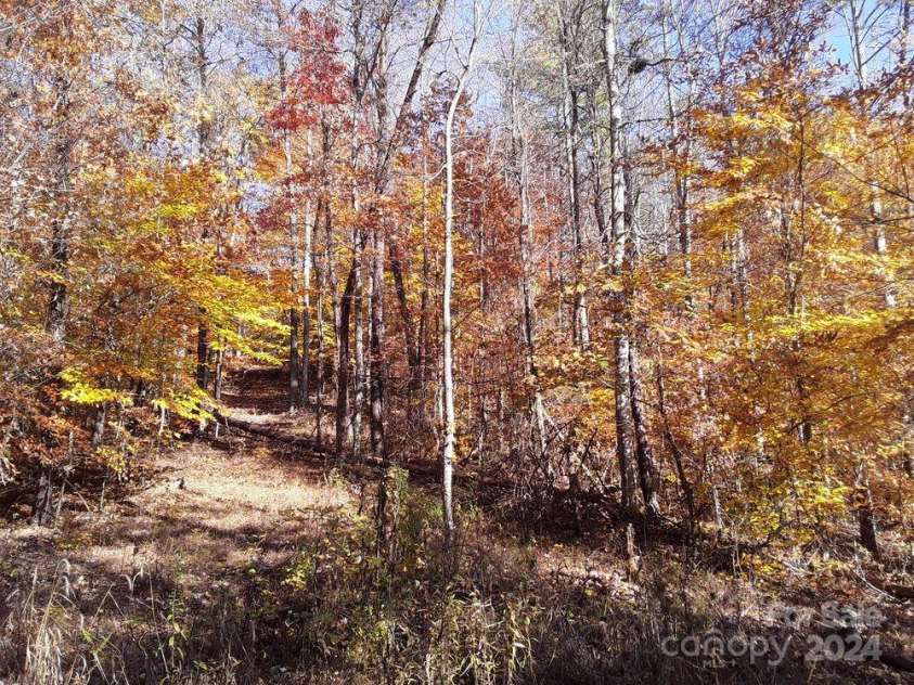 2200 Walnut Creek Road, Marshall, NC 28753.  MLS# CAR4200860, YatesRealty ID 1525. 