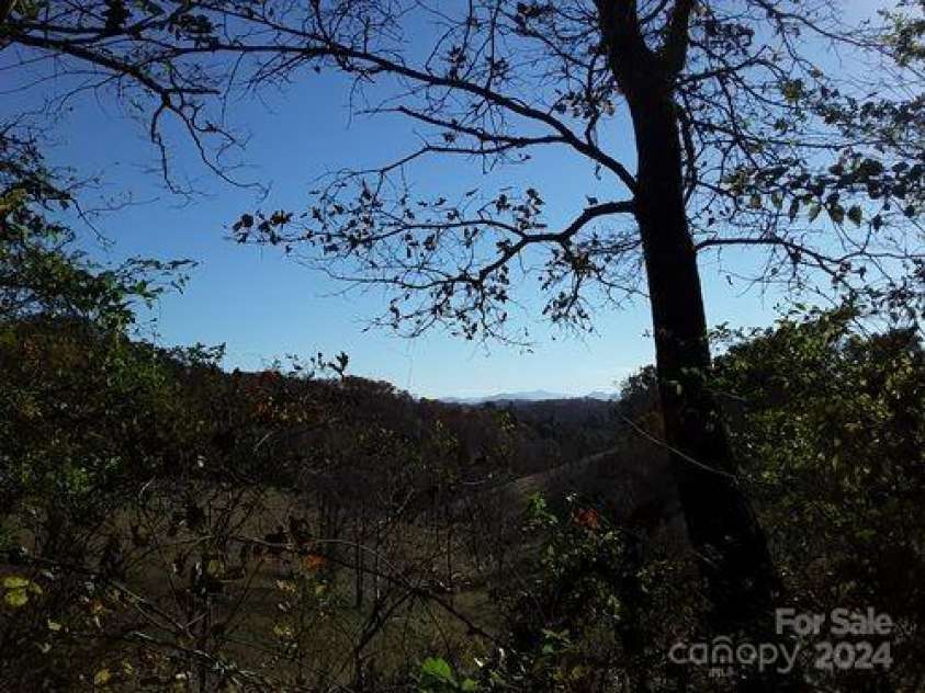 2200 Walnut Creek Road, Marshall, NC 28753.  MLS# CAR4200860, YatesRealty ID 1525. 