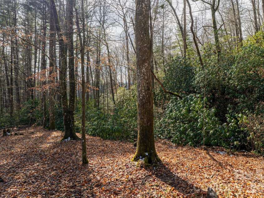 19 Forge Drive, Mills River, NC 28759.  MLS# CAR4344068, YatesRealty ID 1526. Surround by nature