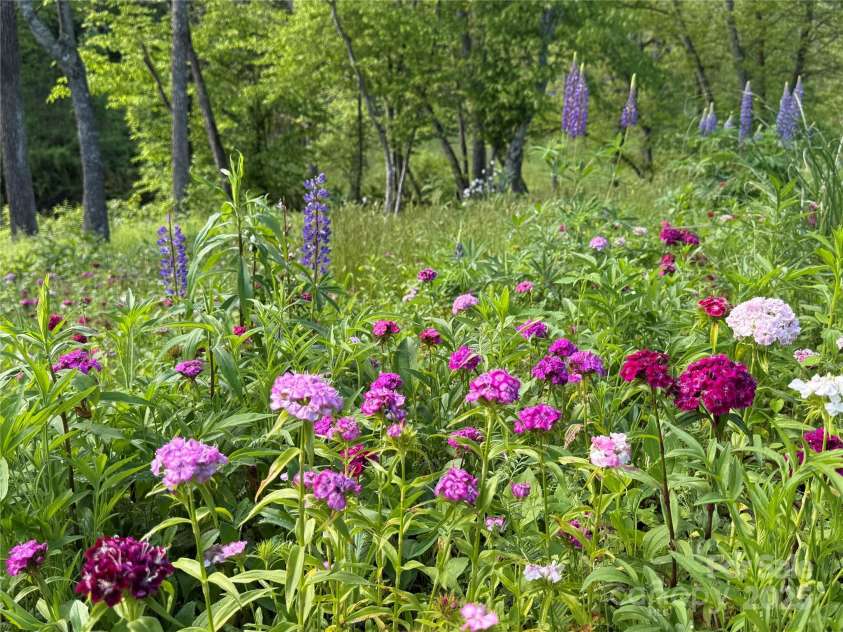 101 Garrison Road, Mars Hill, NC 28754.  MLS# CAR4252638, YatesRealty ID 15269. 