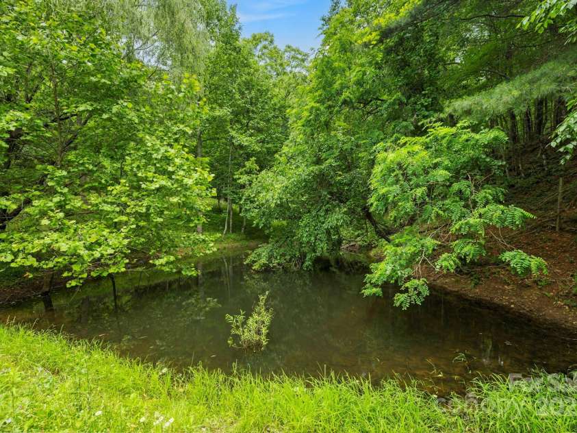 51 HOMEFIRE COVE Cove, Leicester, NC 28748.  MLS# CAR4269158, YatesRealty ID 1528. Spring fed pond