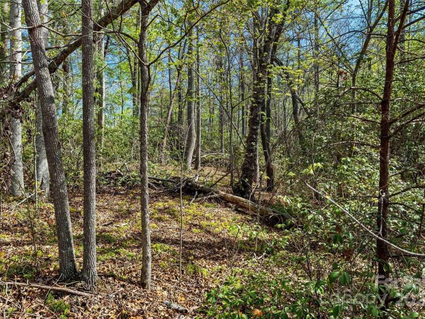 1470 Lytle Mountain Road, Marion, NC 28752.  MLS# CAR4251089, YatesRealty ID 15281. 