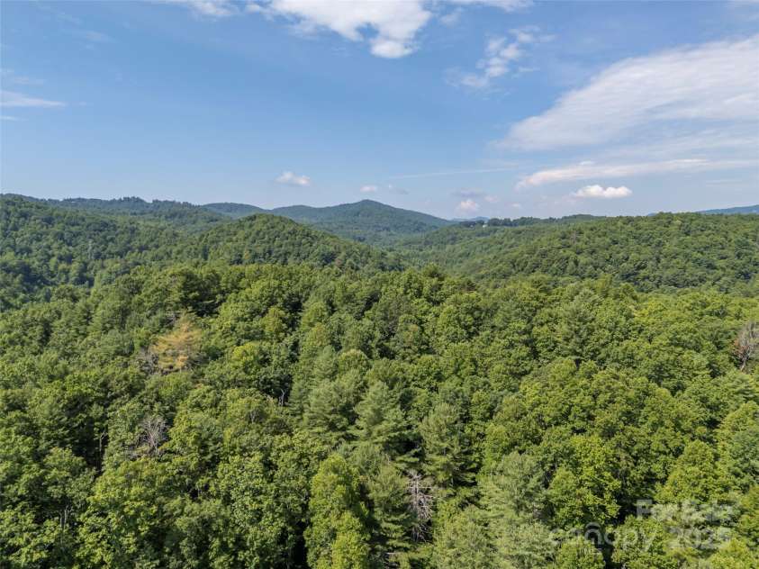 1084 Old Howard Gap Road, Saluda, NC 28773.  MLS# CAR4162081, YatesRealty ID 153. 