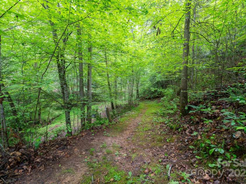 225 Opal Drive, Whittier, NC 28789.  MLS# CAR4259494, YatesRealty ID 15345. 