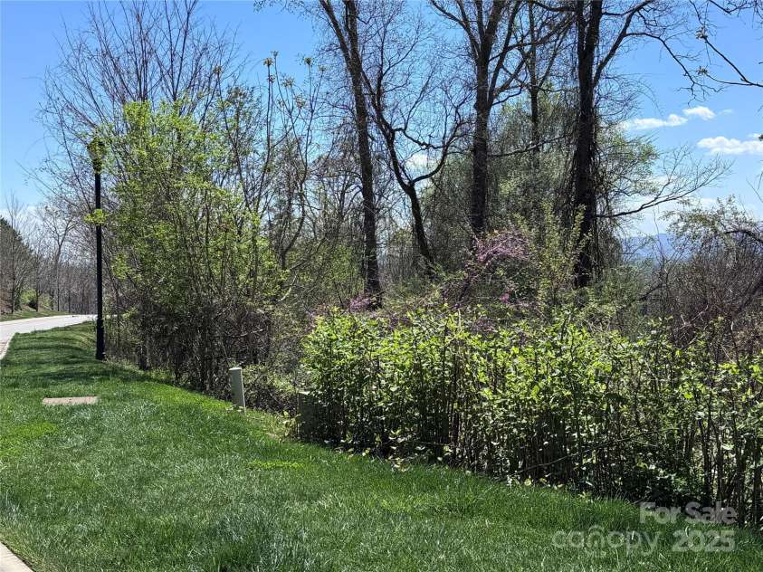 44 Samuel Ashe Drive, Asheville, NC 28805.  MLS# CAR4279385, YatesRealty ID 154. 