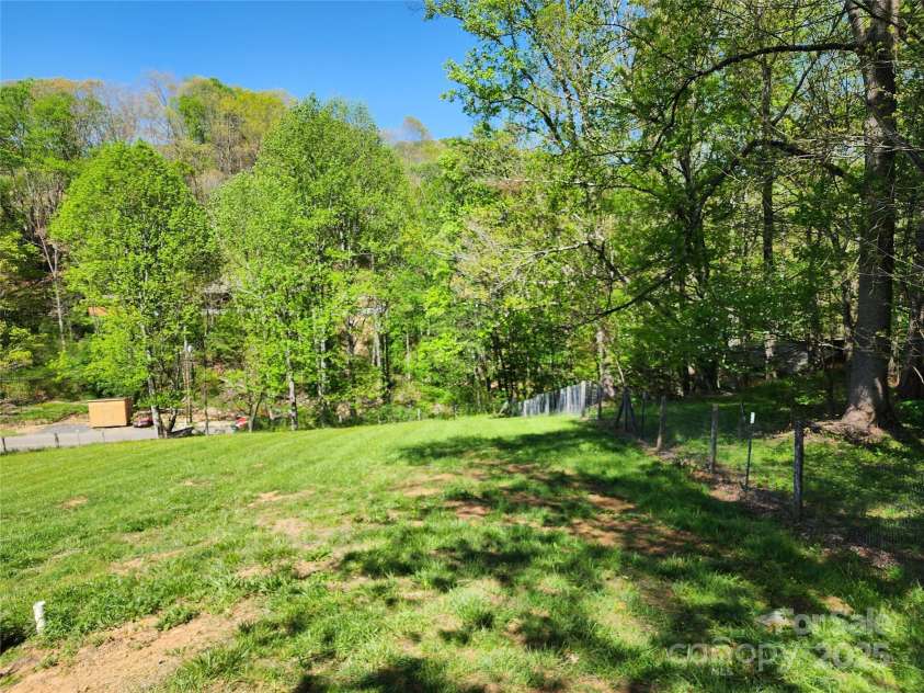 583 Cane Branch Road, Burnsville, NC 28714.  MLS# CAR4251066, YatesRealty ID 15423. Property line along the edge of the woods on the north side
