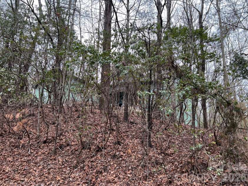 397 Soquili Drive, Brevard, NC 28712.  MLS# CAR4206304, YatesRealty ID 1543. Private