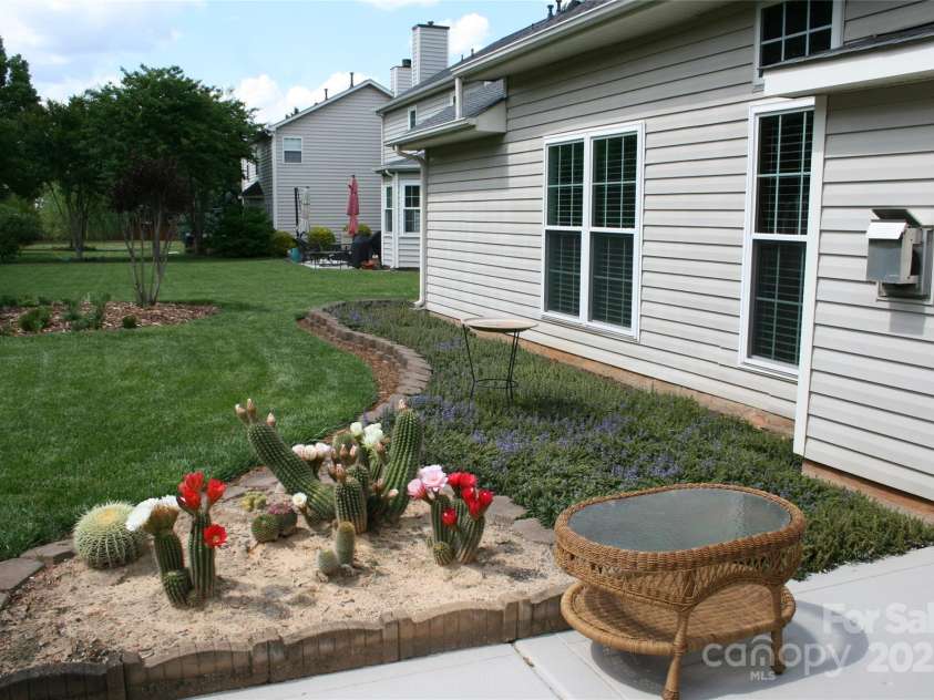 4711 Lenox Hill Place, Charlotte, NC 28269.  MLS# CAR4261268, YatesRealty ID 15448. Cactus plantings