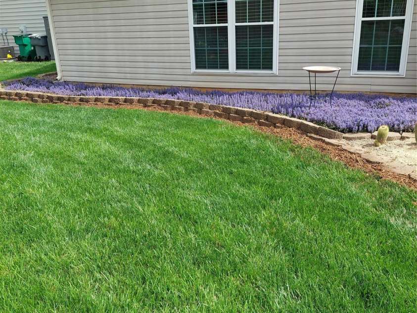 4711 Lenox Hill Place, Charlotte, NC 28269.  MLS# CAR4261268, YatesRealty ID 15448. Rear yard