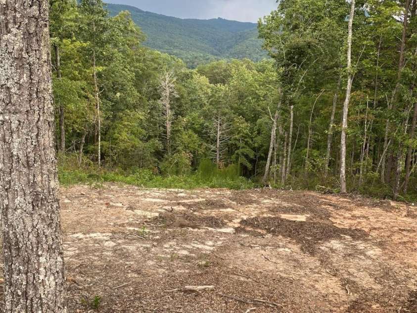 6 Jackson Ridge Lane, Mill Spring, NC 28756.  MLS# CAR4225607, YatesRealty ID 1550. 
