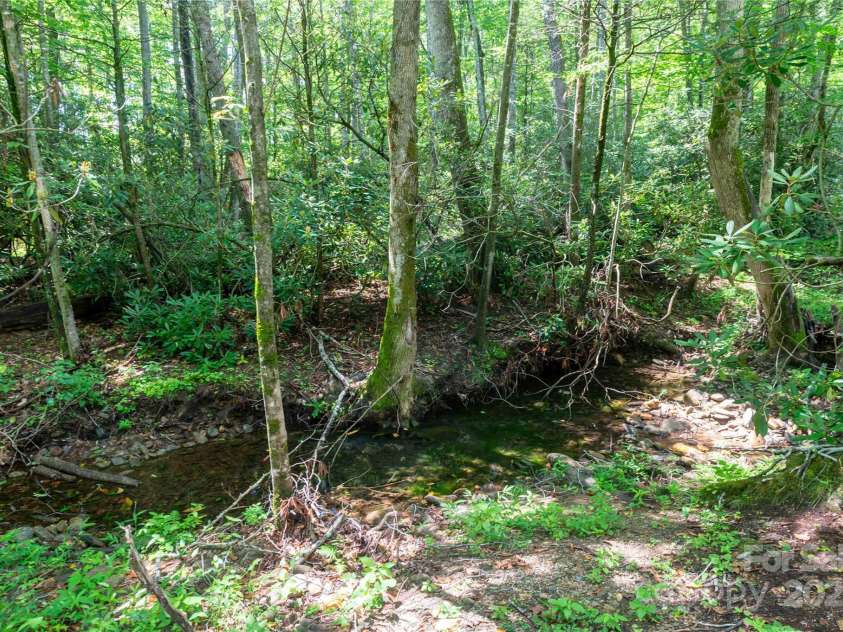 245 White Oak Creek Road, Burnsville, NC 28714.  MLS# CAR4319314, YatesRealty ID 1552. 